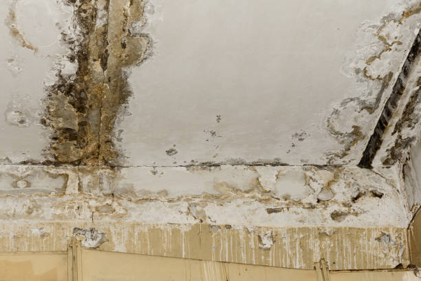 24/7 water damage repair in Seabrook, TX