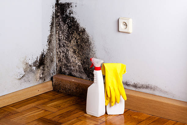 Sewage cleanup and water damage restoration in Seabrook, TX